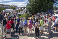 V Festival Internacional del Tomate de Cantabria  Mañana del sábado 30 de agosto.