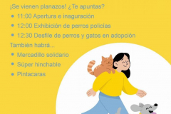 VIII Feria de Adopción de Torrelavega