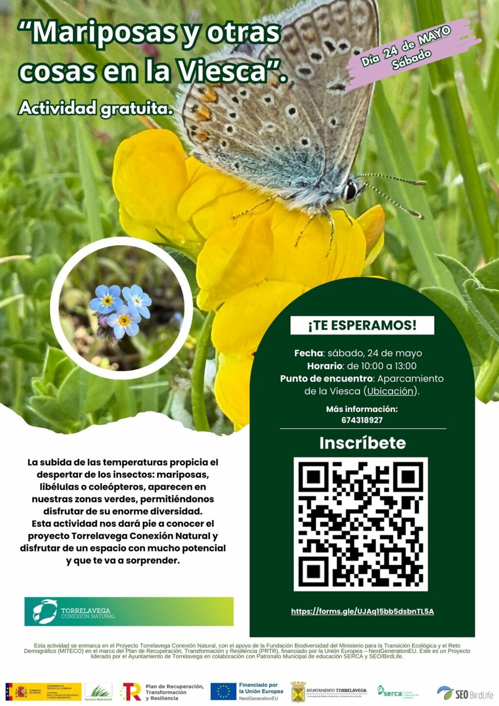 “Mariposas y otras cosas en la Viesca”