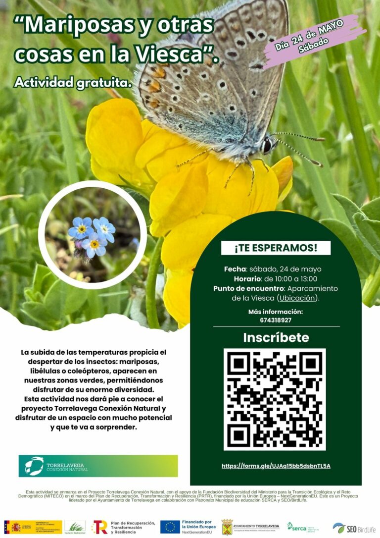 “Mariposas y otras cosas en la Viesca”