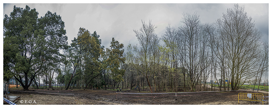 Parque de Las Tablas