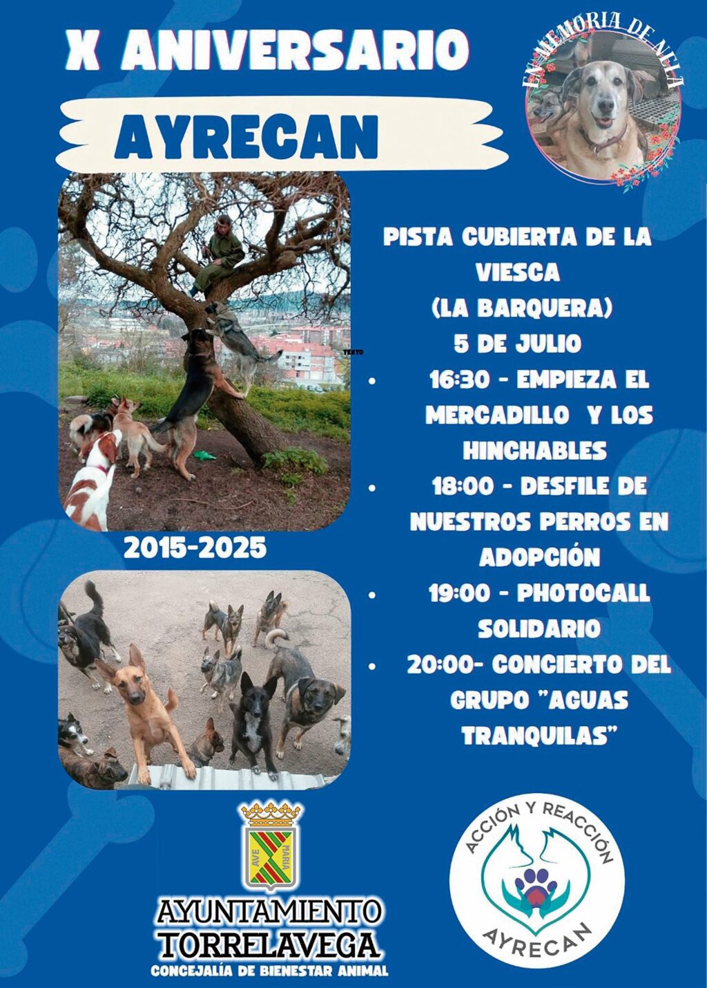AYRECAN celebra su 10º aniversario