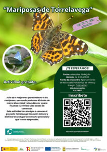 Mariposas de Torrelavega