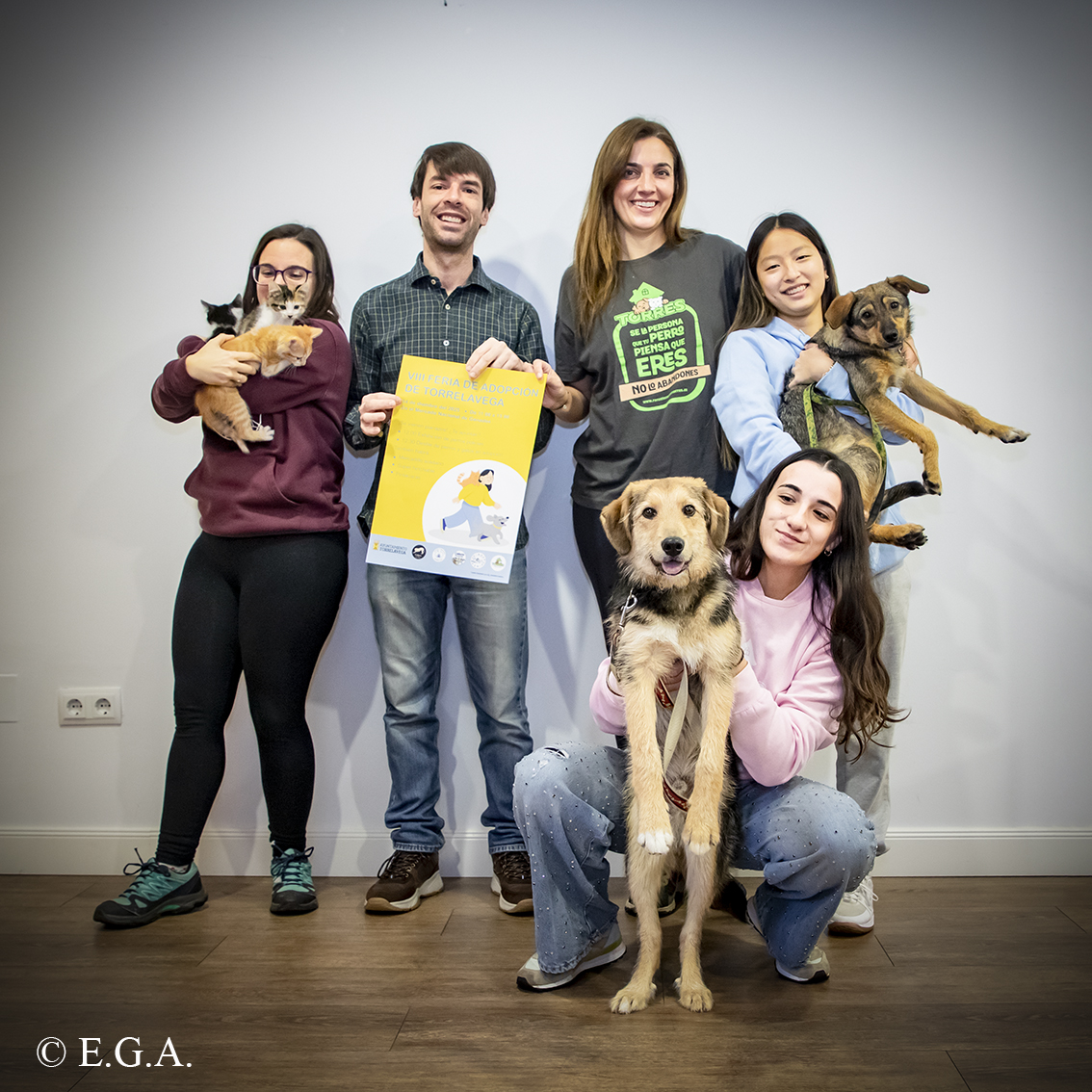 VIII Feria de Adopción Responsable de Torrelavega