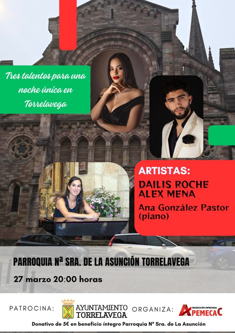Concierto solidario